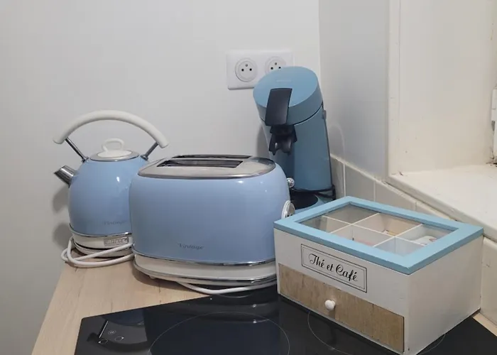 L\' établissement APPARTEMENTS DESIGN , vous propose 4 appartements neufs avec services , lits faits à votre arrivée , serviettes de toilette , ménage, Wifi , en hyper centre , Vue mer à 200m , tout est accessible à pied